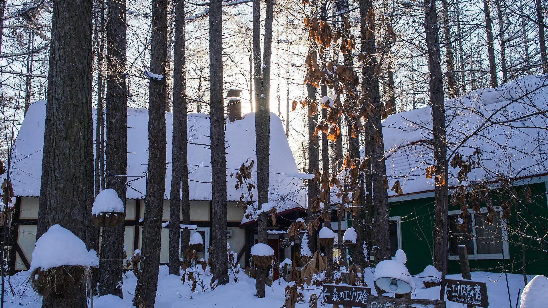 Hotell The Squirrel'S Guesthouse Canterbury Nakasatsunai