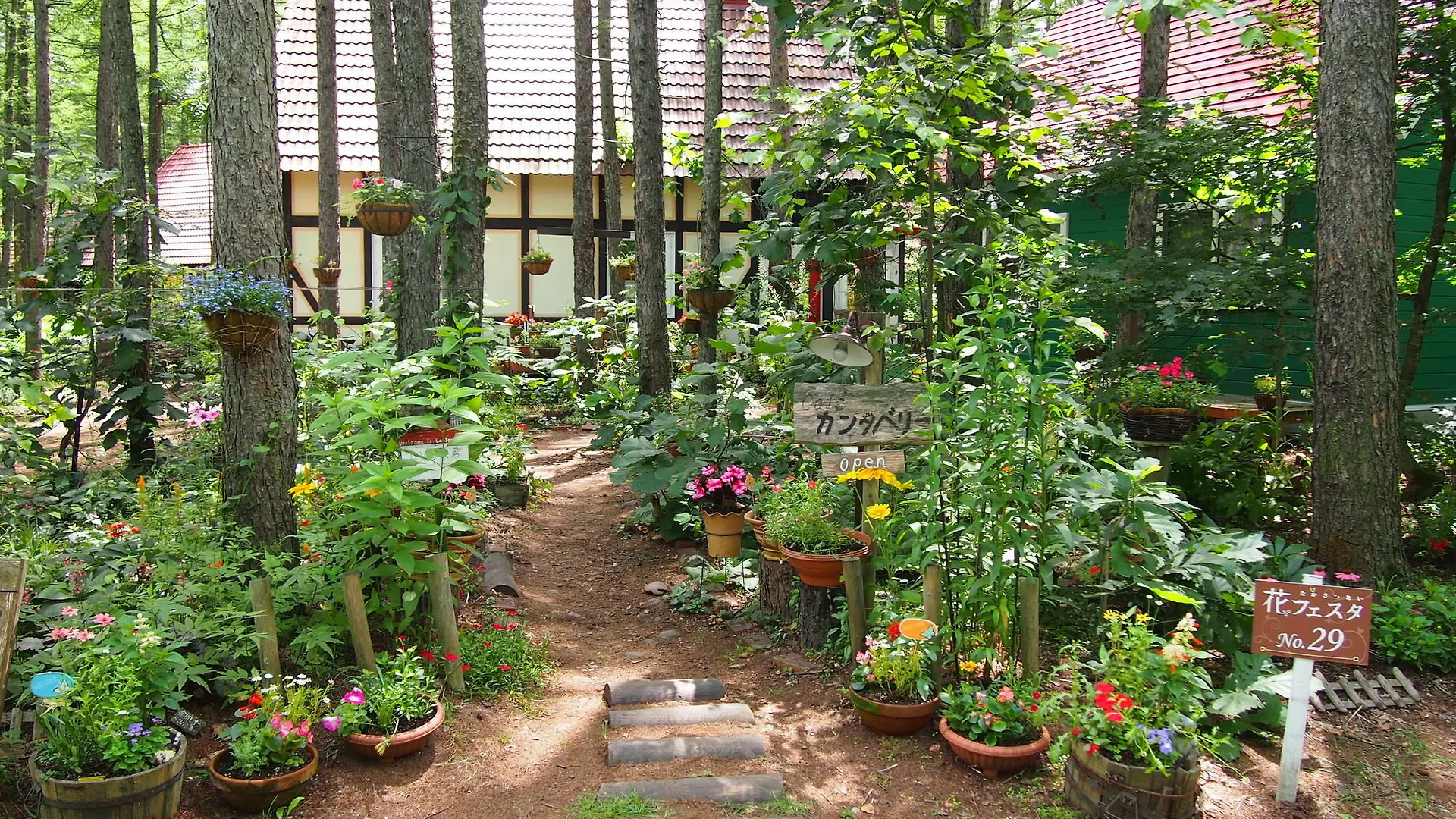 The Squirrel'S Guesthouse Canterbury Nakasatsunai Japan